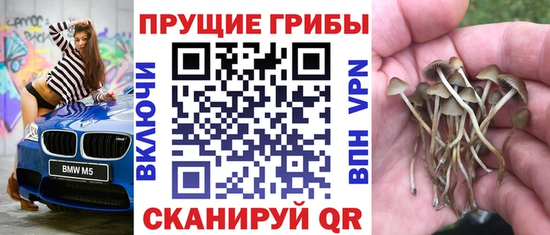 Псилоцибиновые грибы мицелий  сайты даркнета формула  Туринск 
